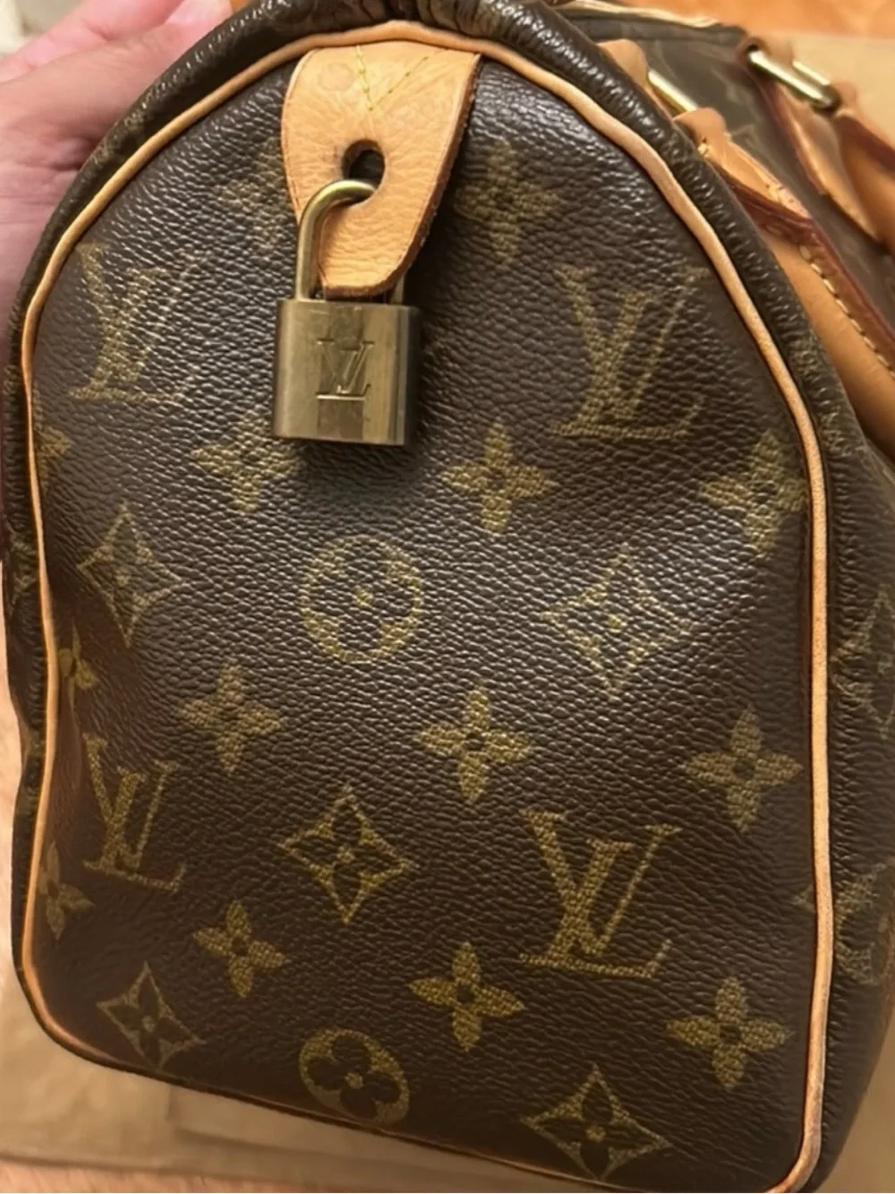 Louis Vuitton Speedy 25 monogram